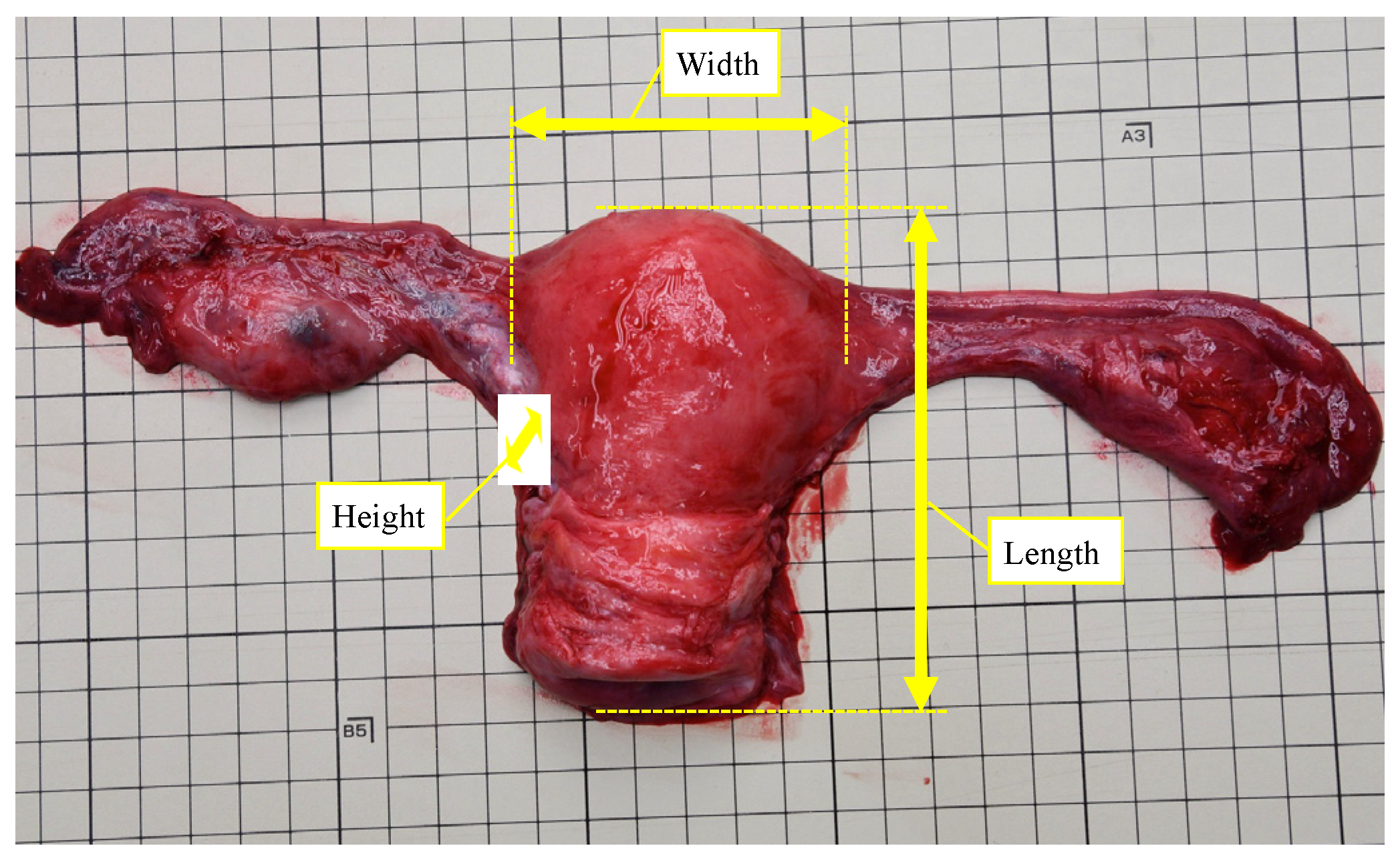 Forensicsci 04 00014 g001 Forensicsci 04 00014 g001