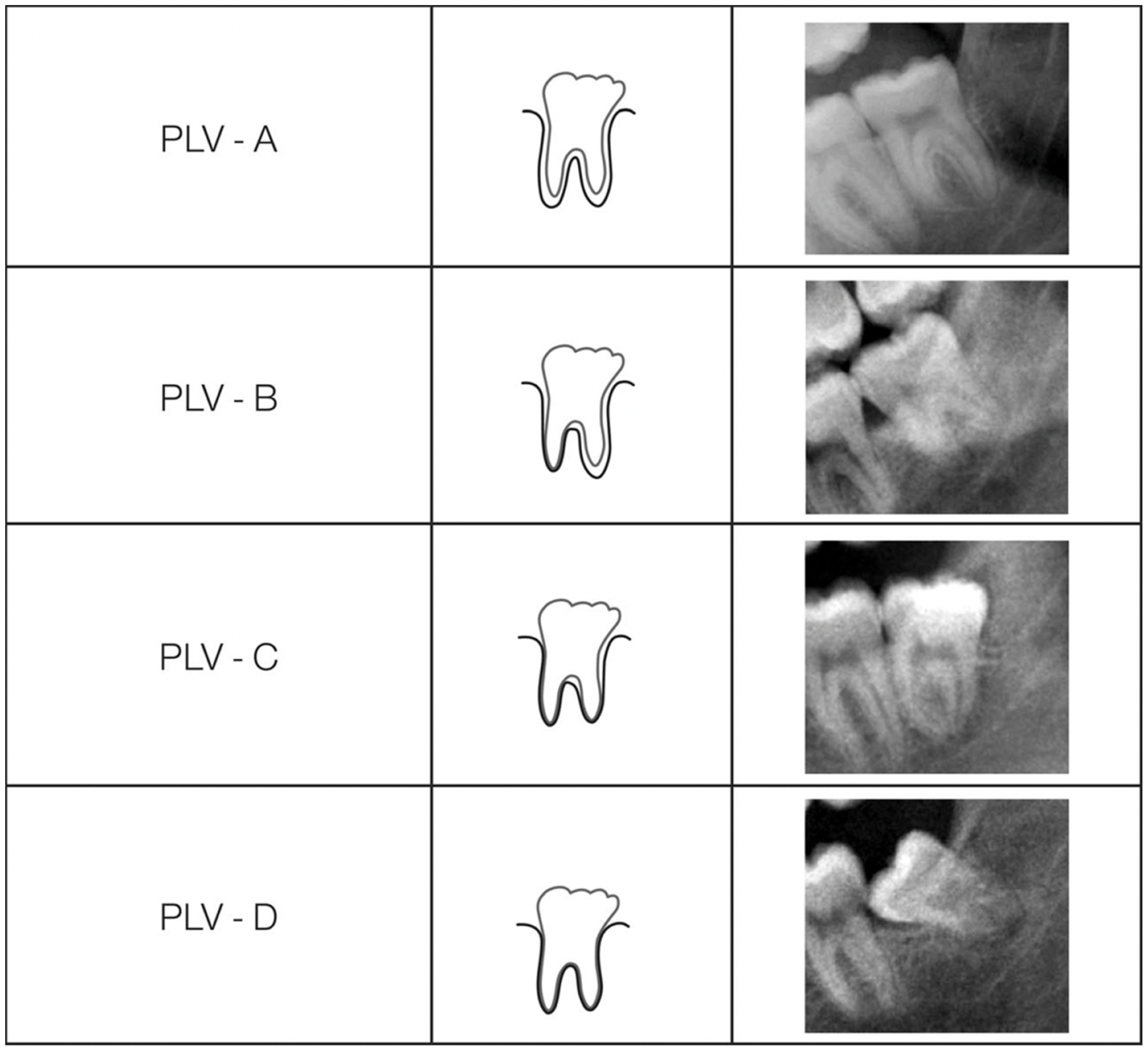 Forensicsci 04 00022 g001