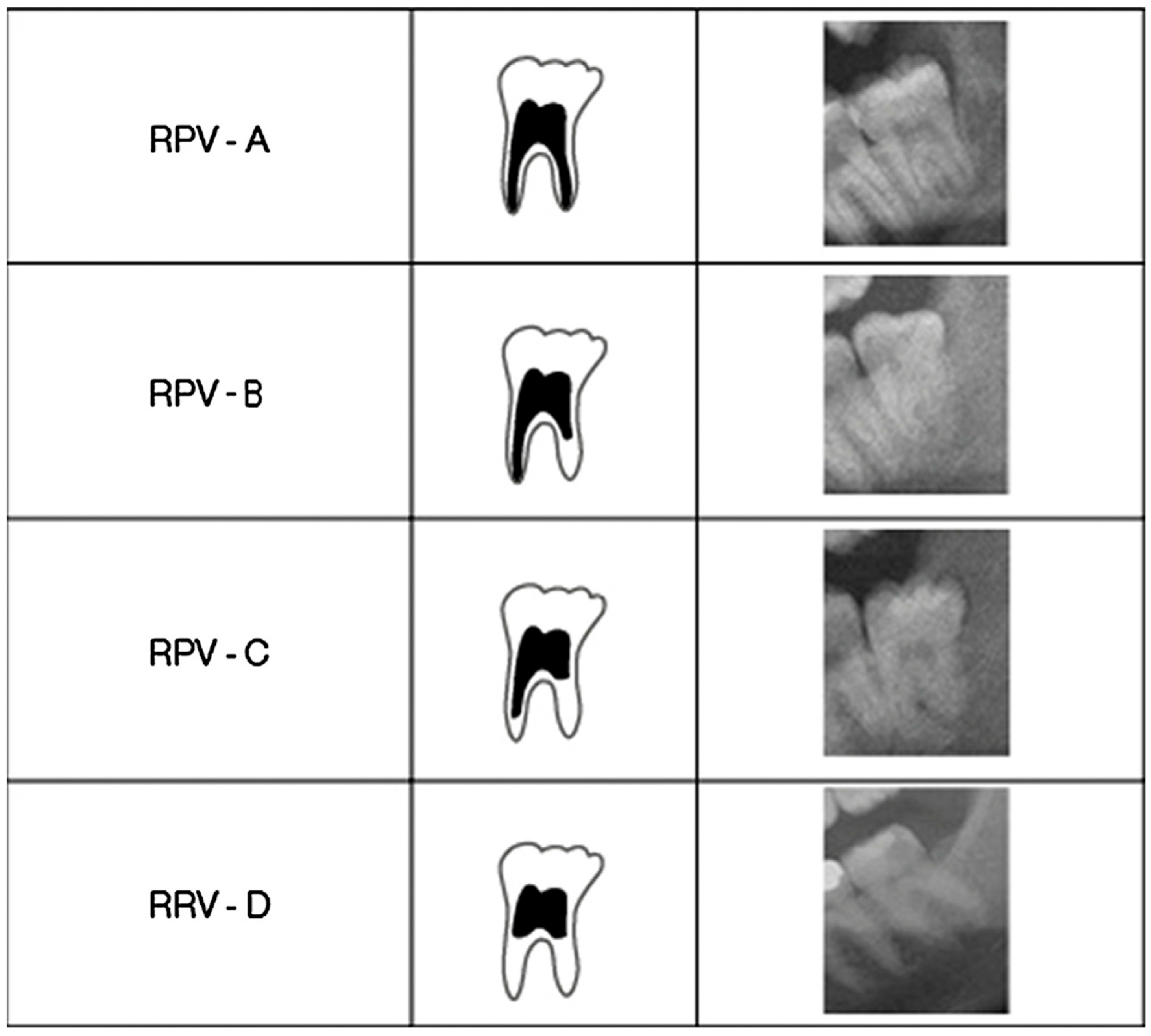 Forensicsci 04 00022 g002