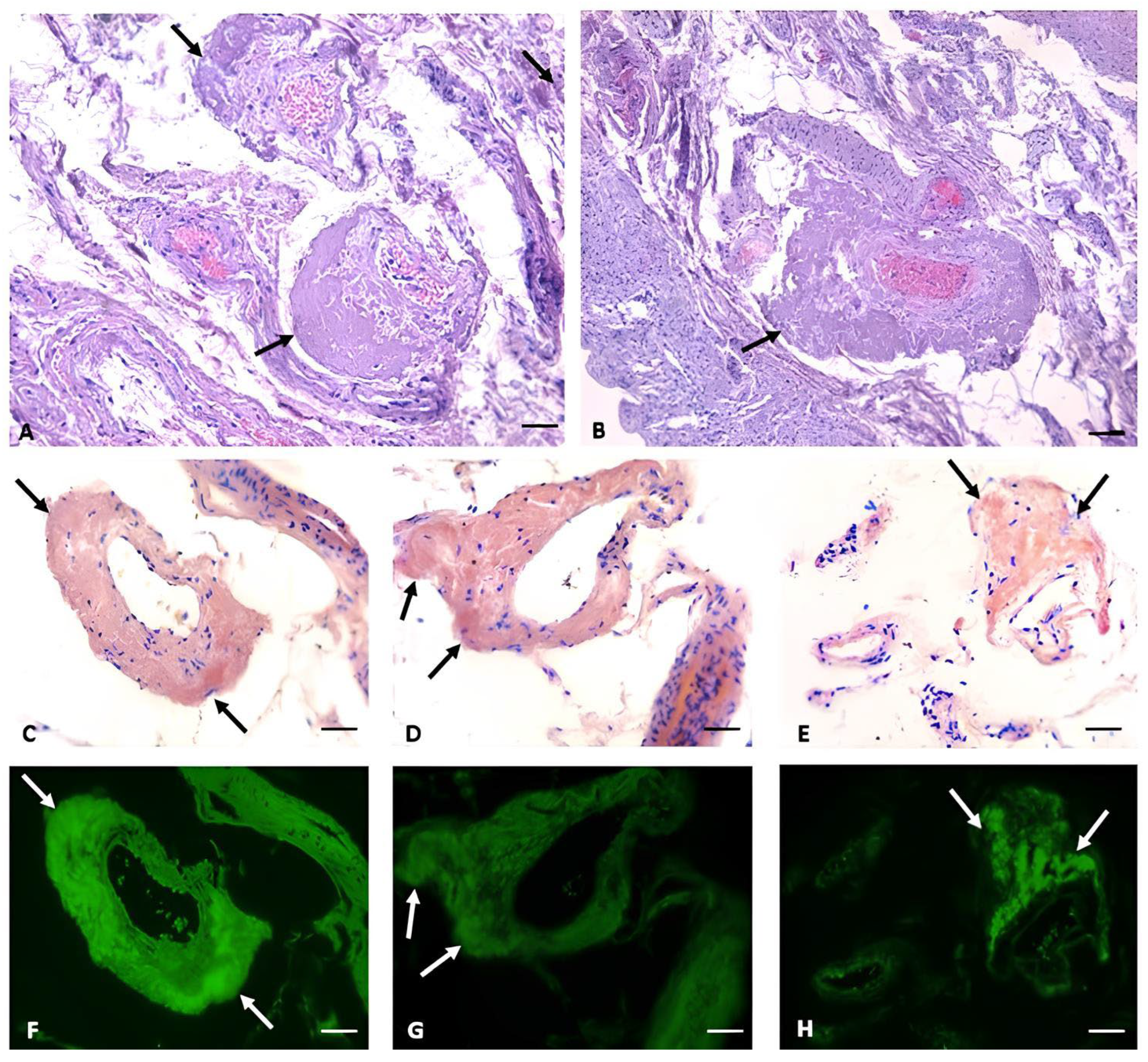 Forensicsci 04 00029 g001 Forensicsci 04 00029 g001