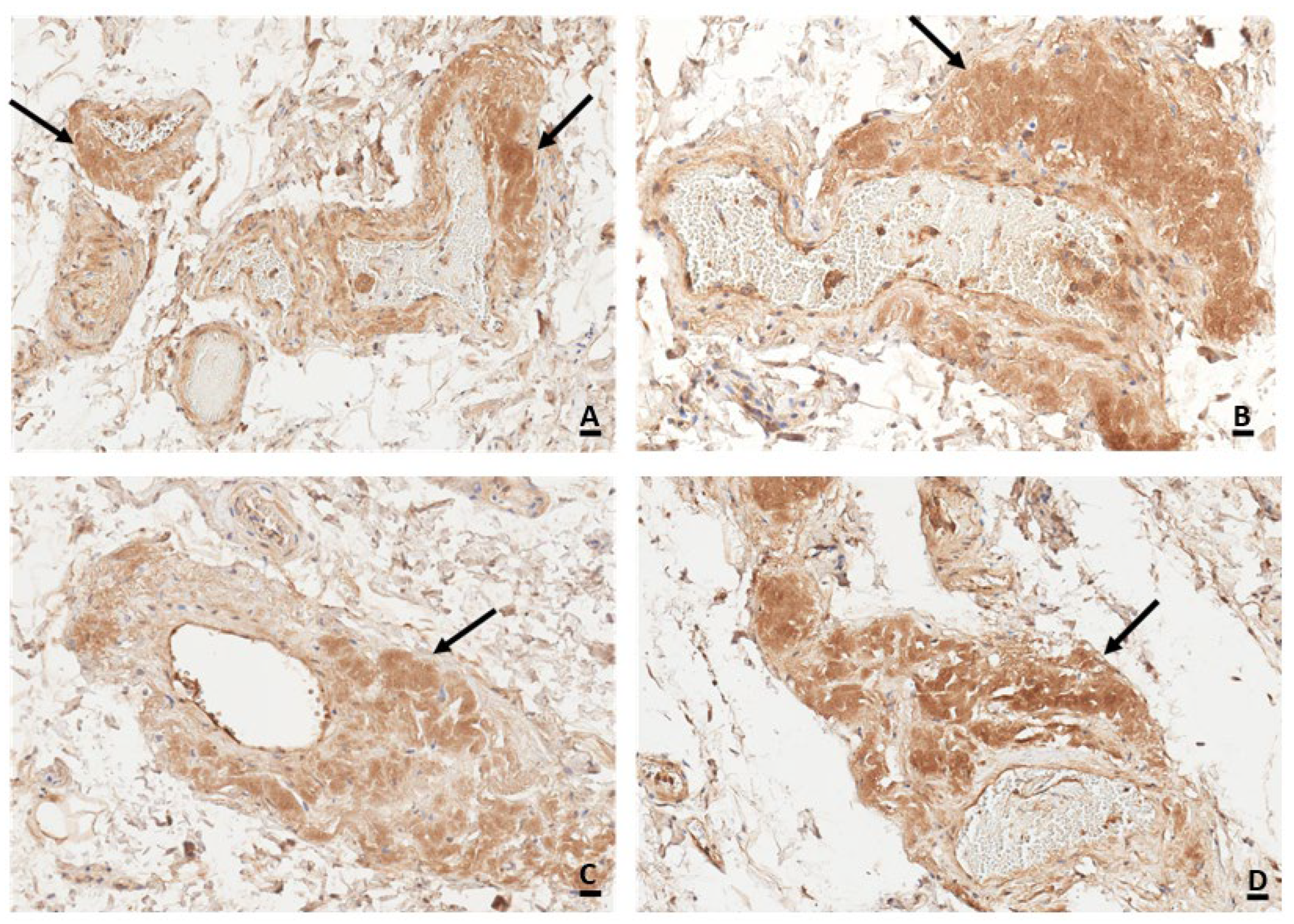 Forensicsci 04 00029 g002 Forensicsci 04 00029 g002