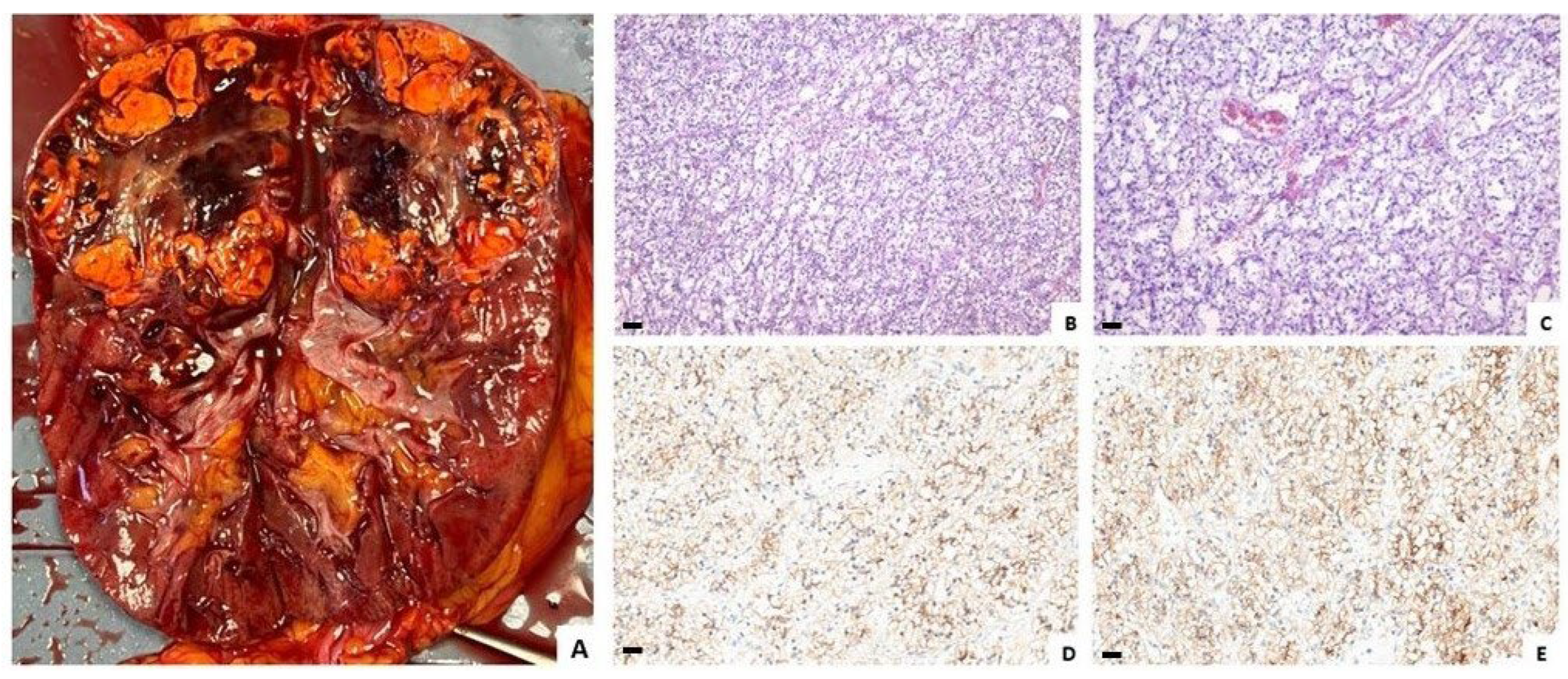 Forensicsci 04 00029 g003 Forensicsci 04 00029 g003