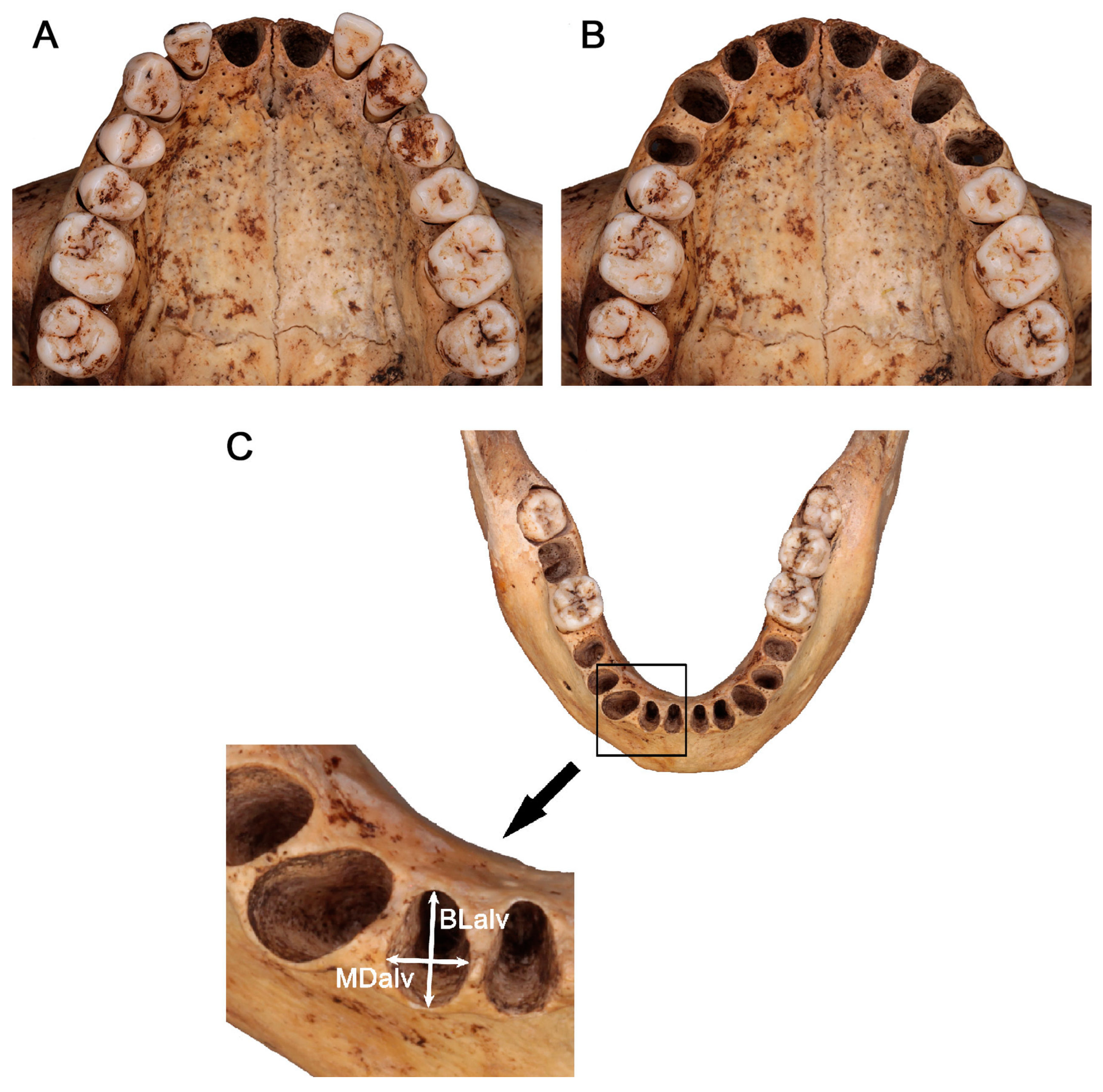 Forensicsci 05 00004 g001