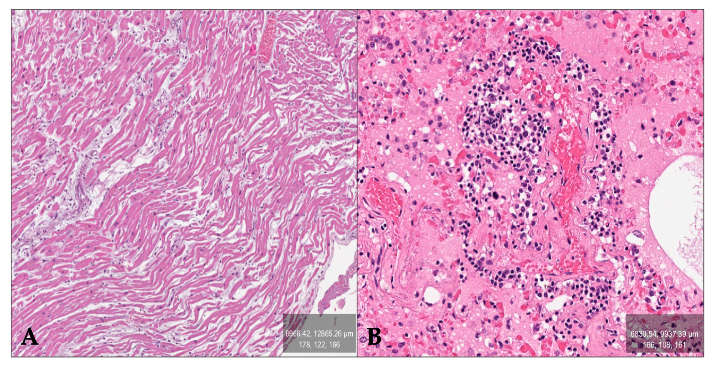 Forensicsci 05 00007 g001 Forensicsci 05 00007 g001