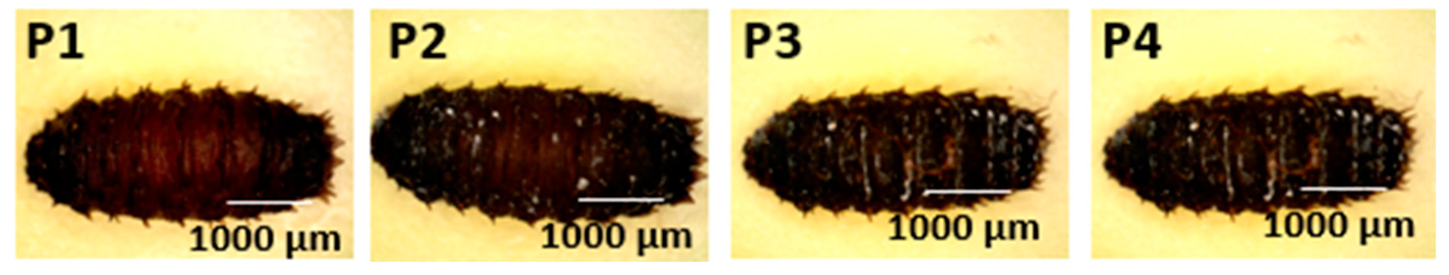 Forensicsci 05 00010 g003 Forensicsci 05 00010 g003