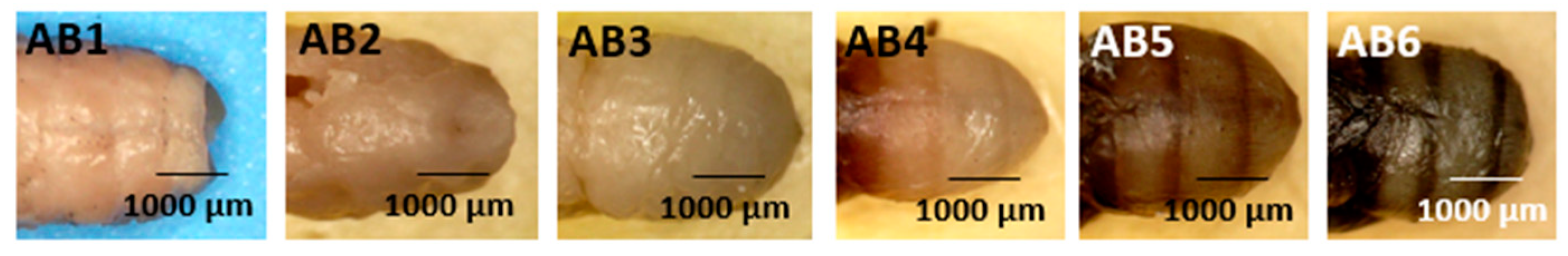 Forensicsci 05 00010 g009 Forensicsci 05 00010 g009