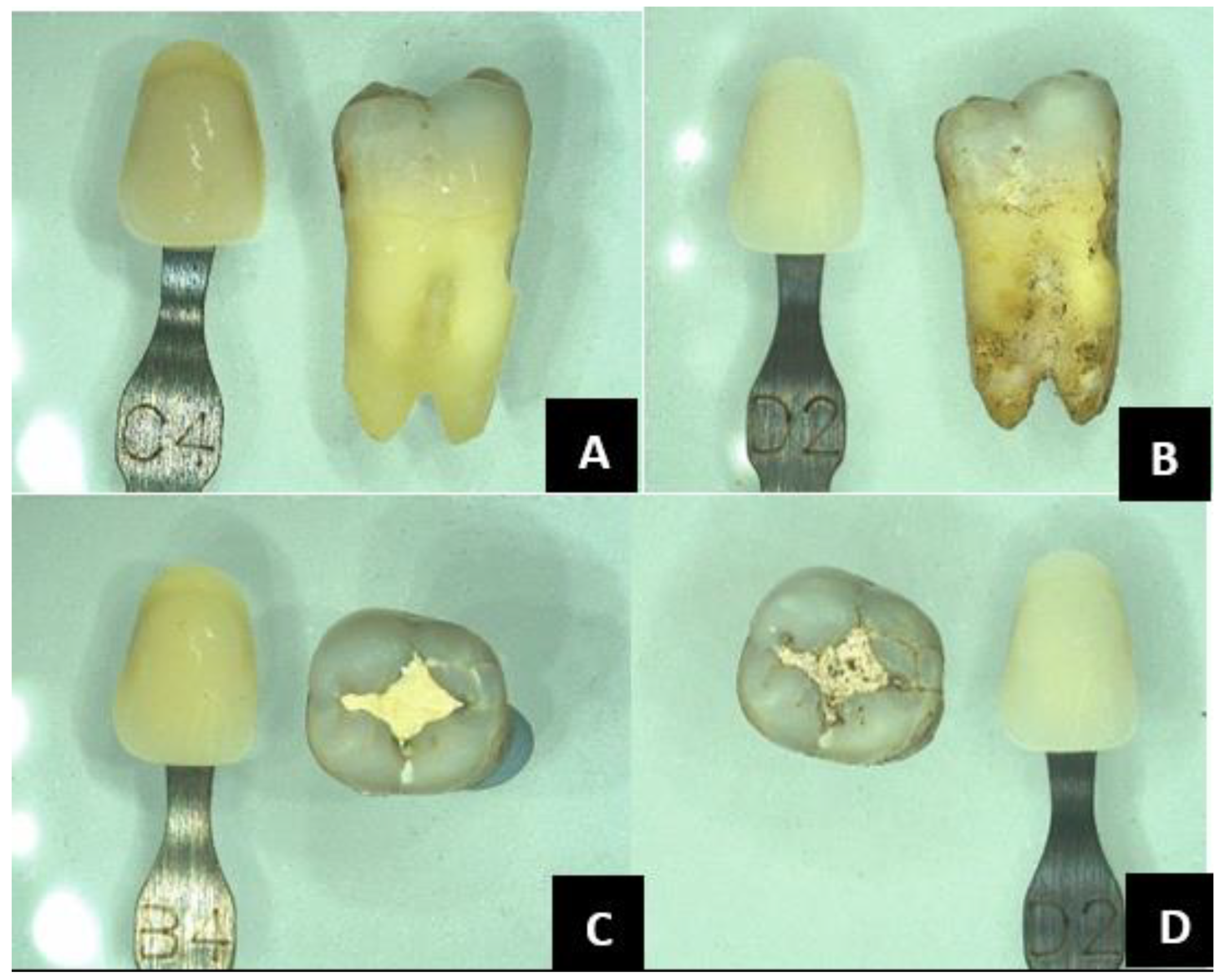 Forensicsci 05 00012 g005