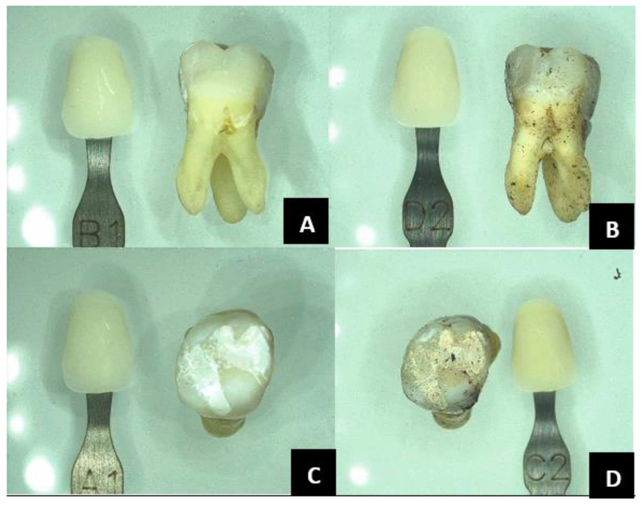 Forensicsci 05 00012 g006