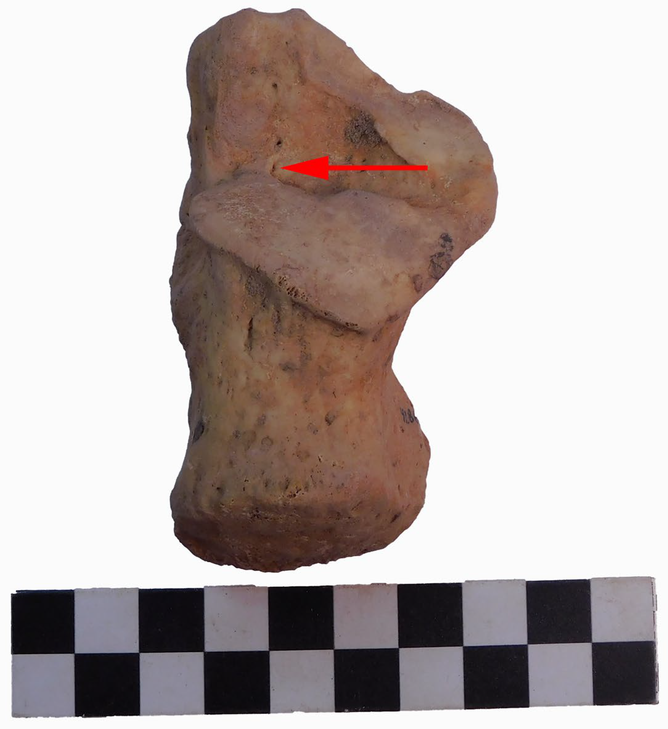 Forensicsci 05 00025 g001