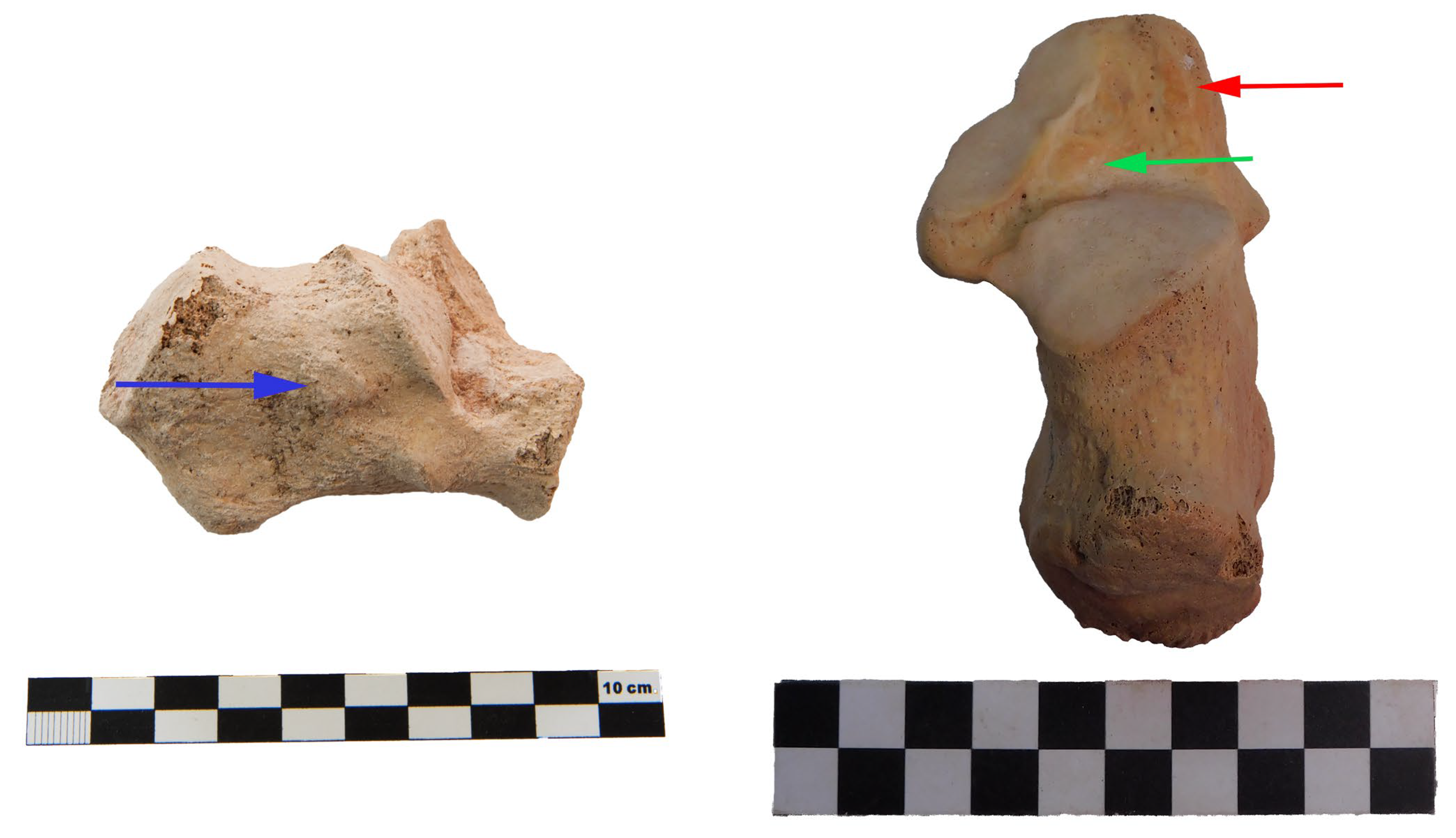 Forensicsci 05 00025 g002