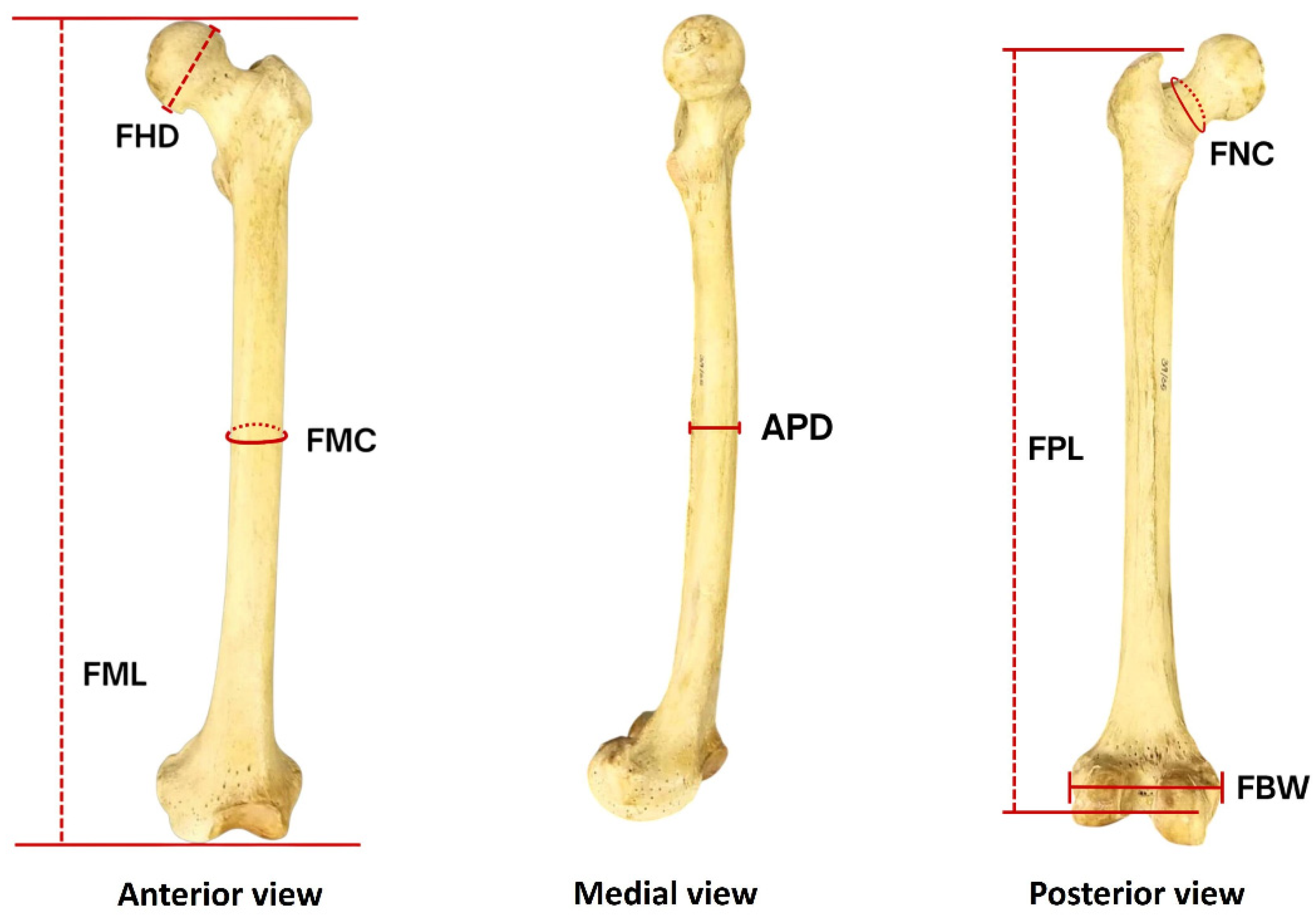 Forensicsci 05 00069 g001
