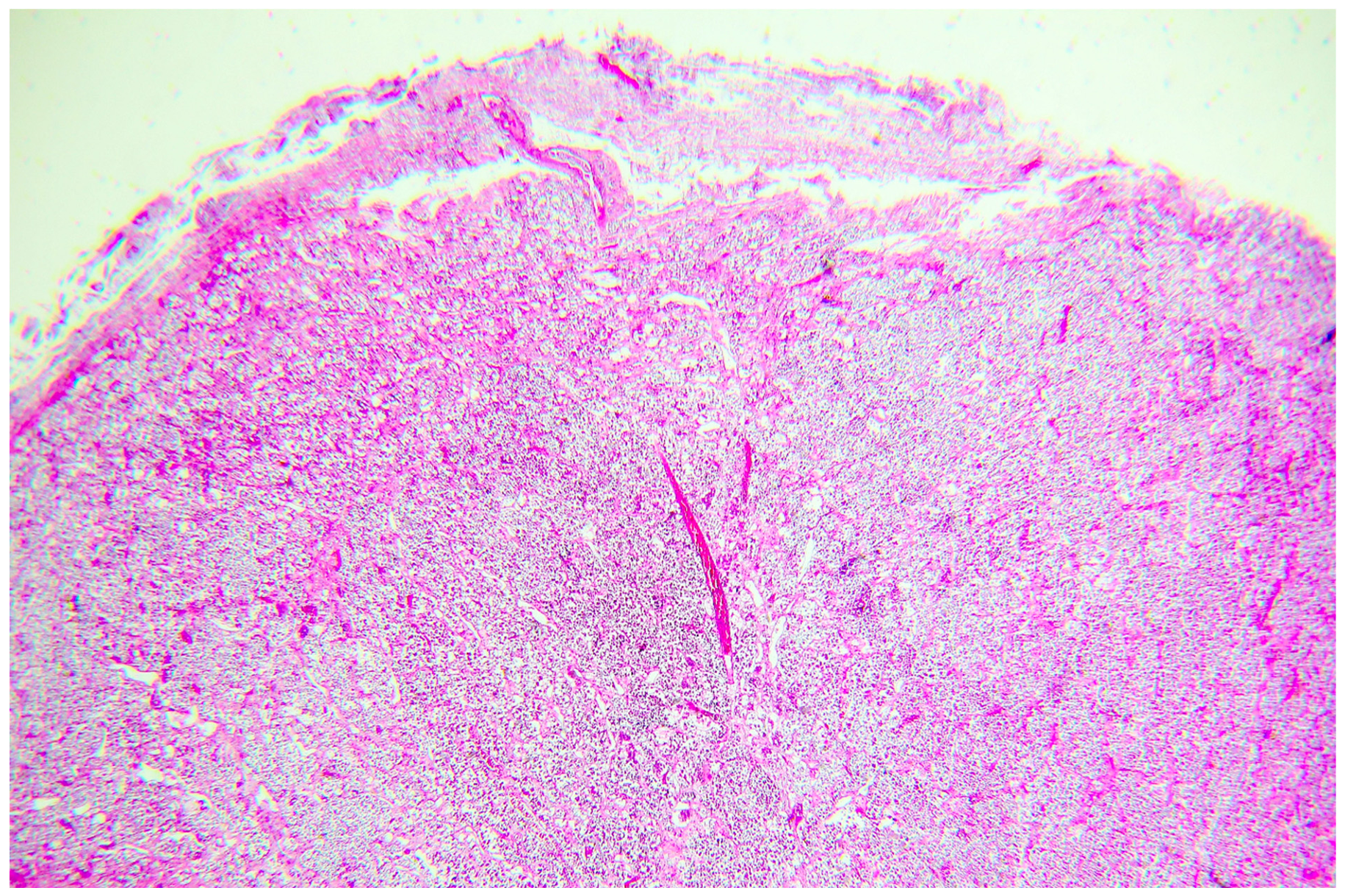 Forensicsci 06 00087 g001