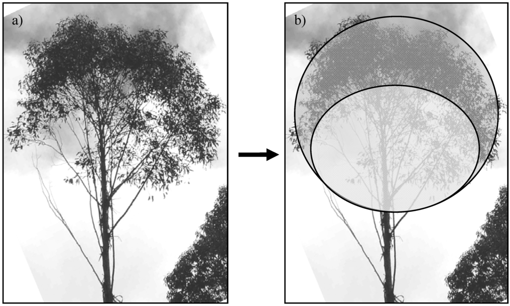 Forests 01 00004 g004 1024