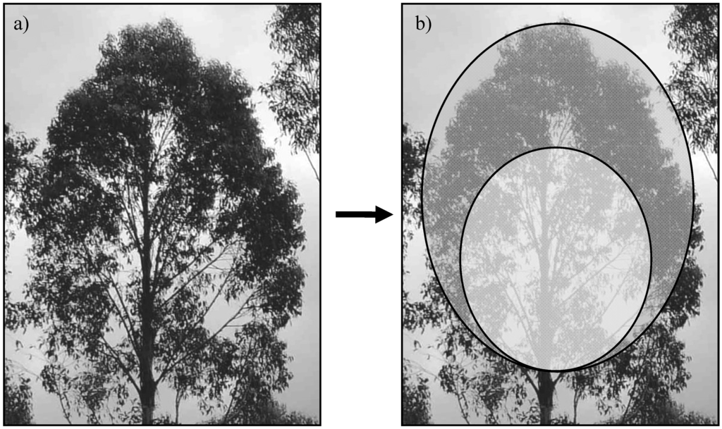 Forests 01 00004 g005 1024