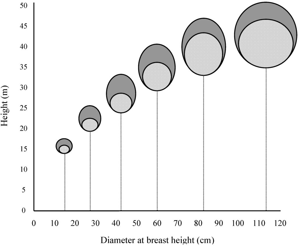 Forests 01 00004 g006 1024
