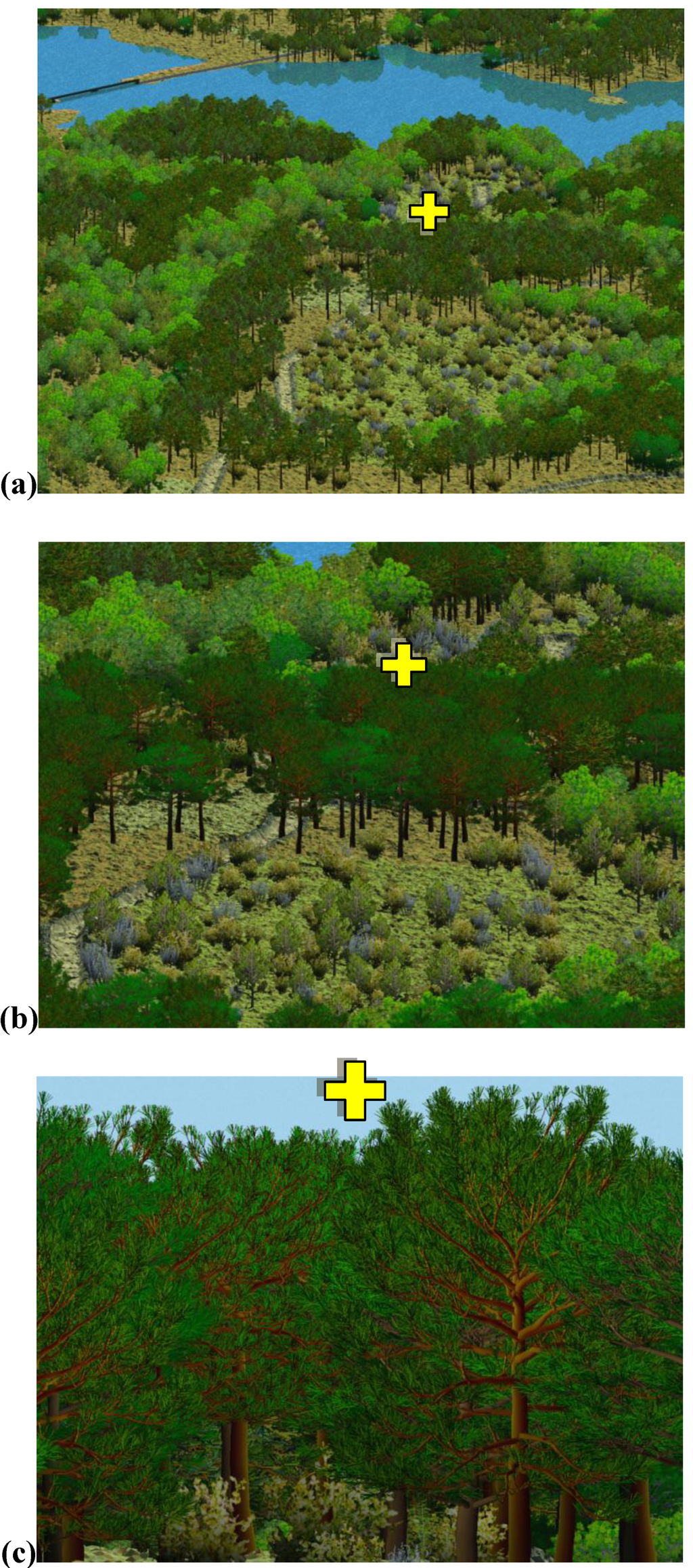 Forests 01 00082 g002 1024