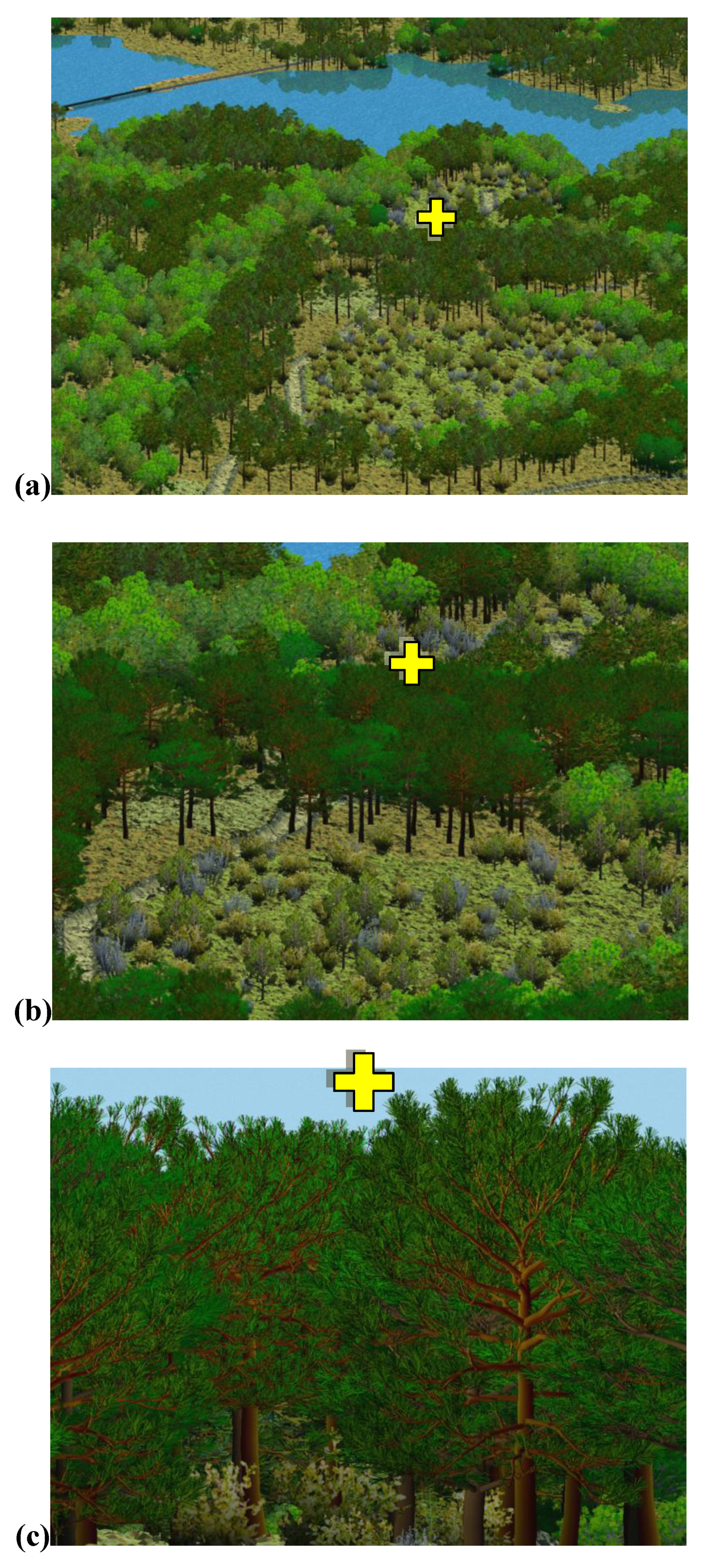 Forests 01 00082 g002