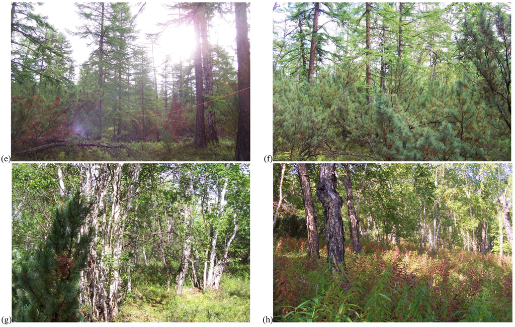 Forests 01 00154 g002b 1024