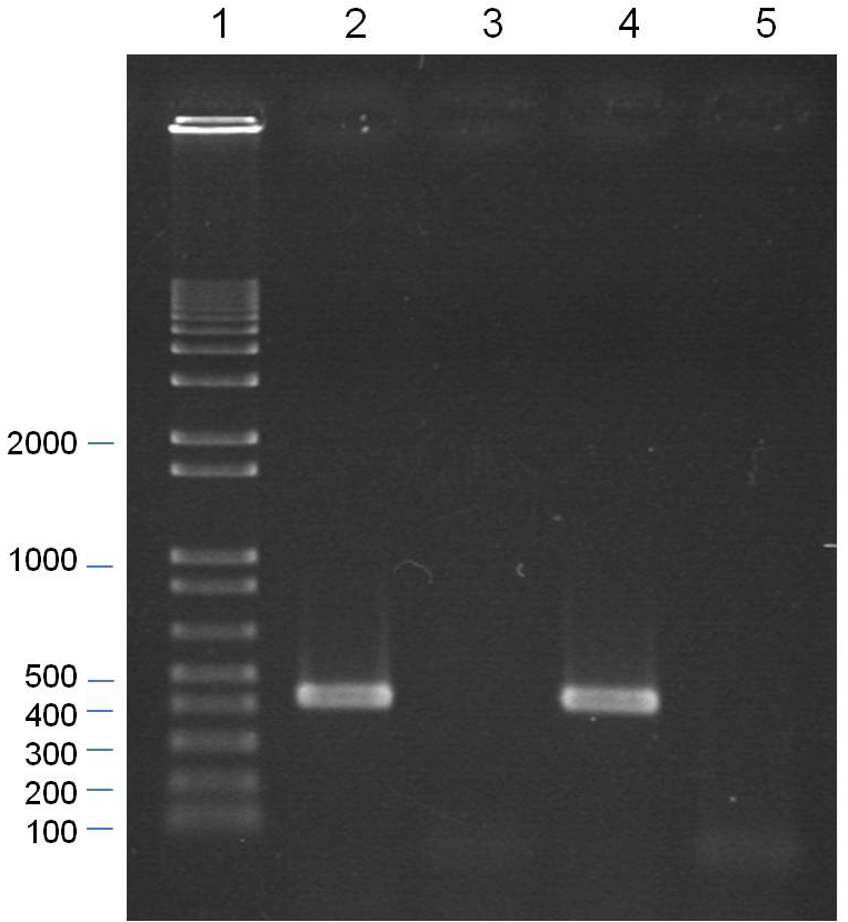 Forests 03 00083 g001