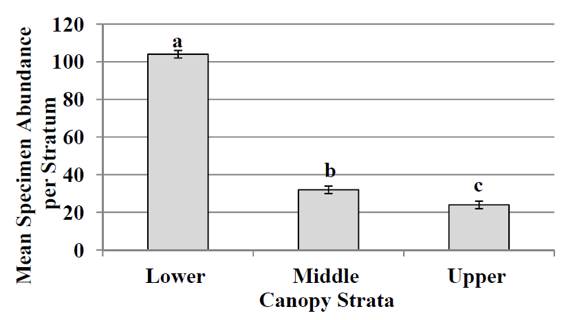 Forests 03 00127 g001 1024