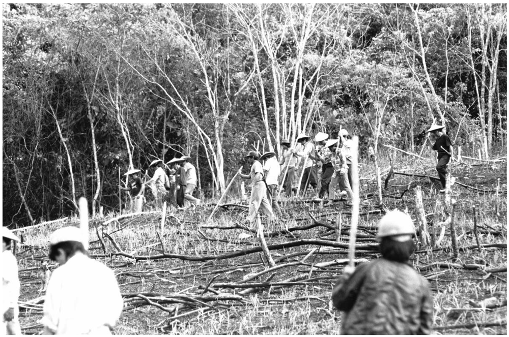 Forests 03 00207 g003 1024