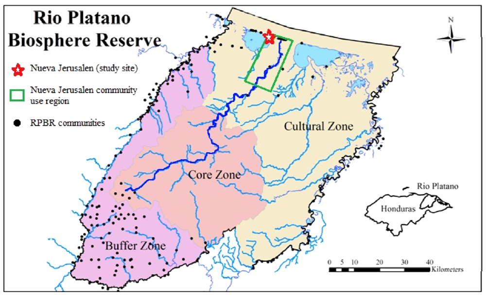 Forests 03 00244 g001