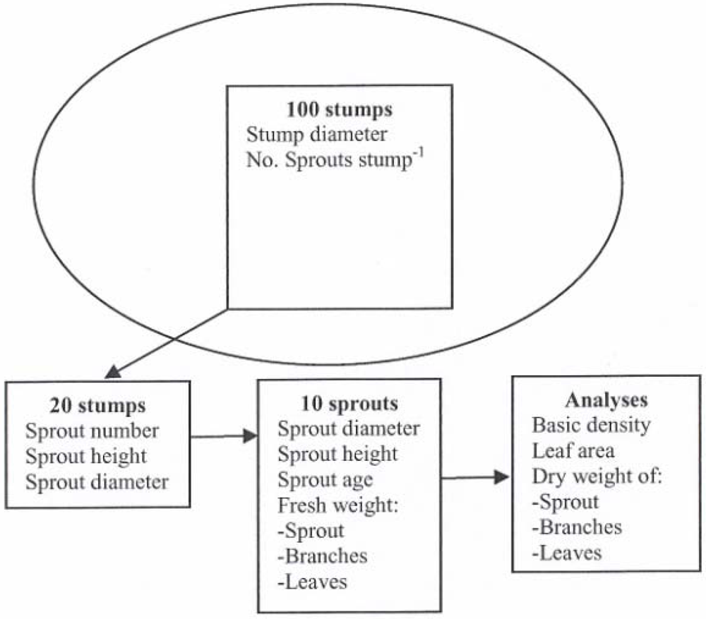 Forests 03 00528 g002 1024