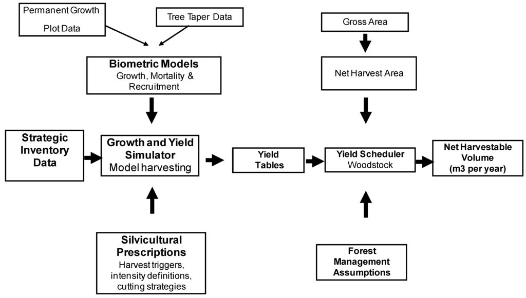 Forests 03 00653 g003 1024