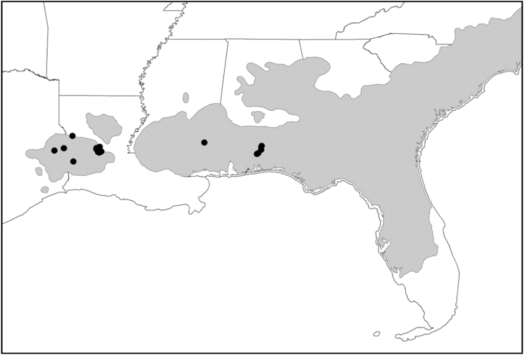 Forests 03 01104 g001 1024