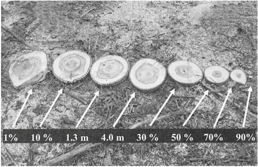 Forests 04 00028 g002