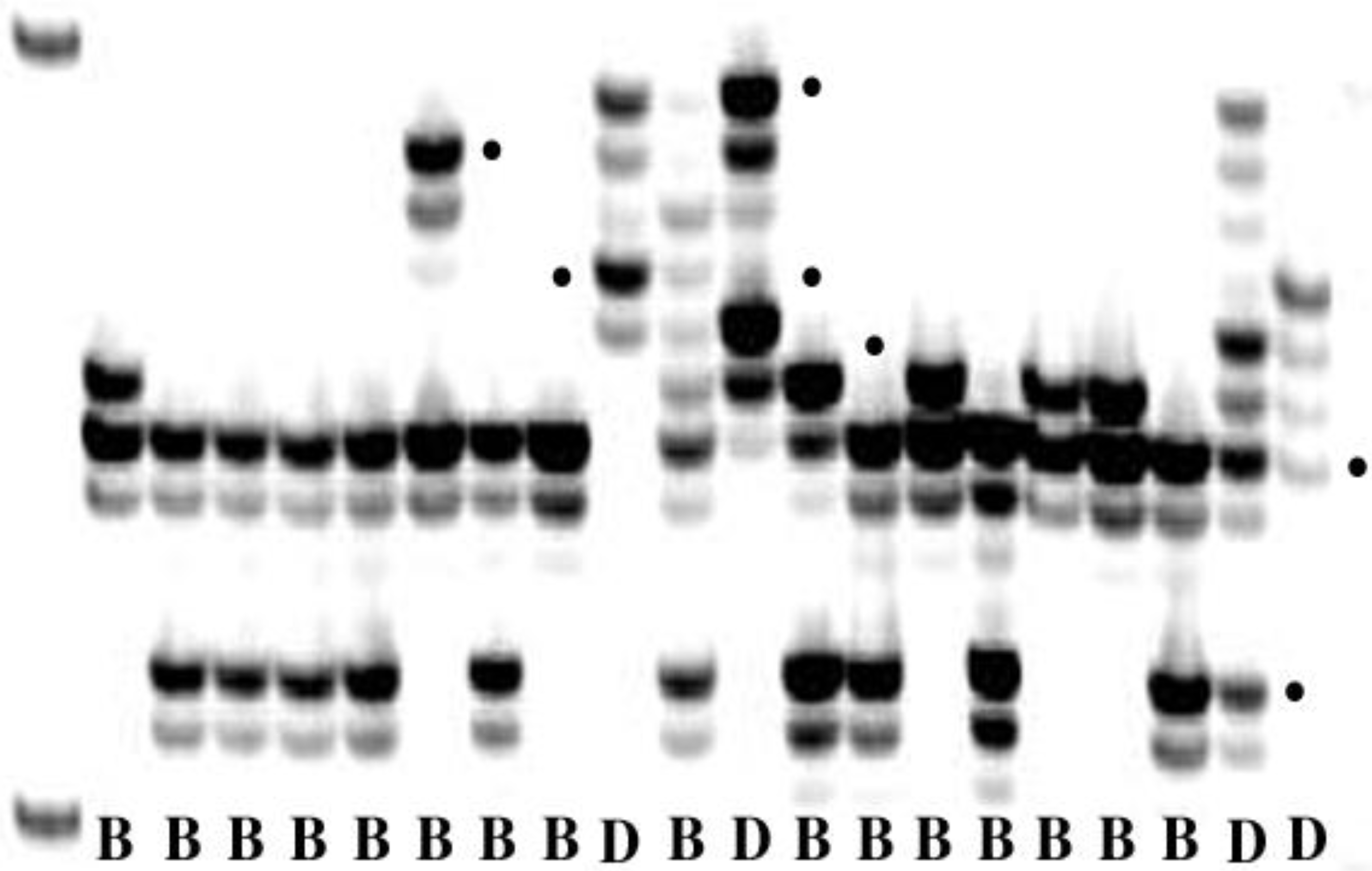 Forests 04 00070 g004