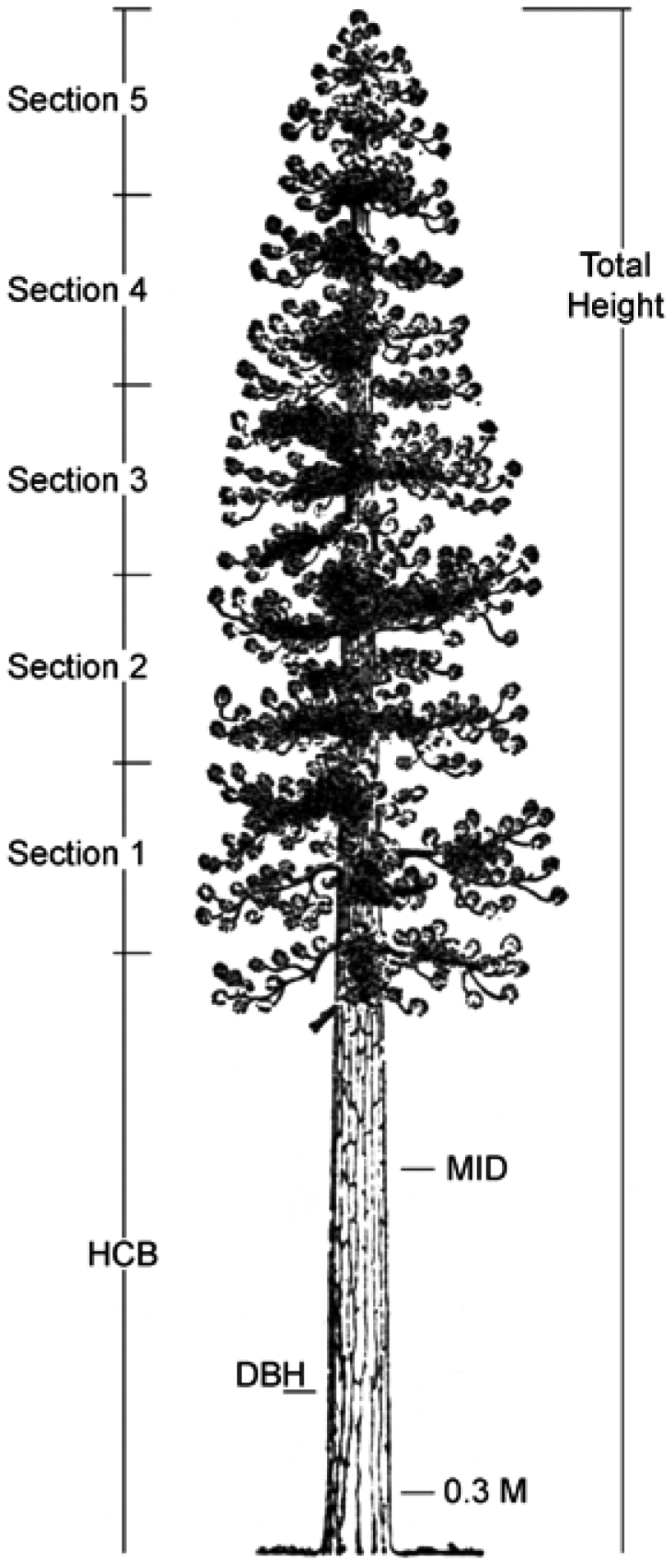 Forests 04 00179 g001 1024