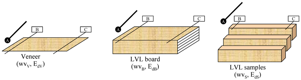 Forests 04 00270 g001 1024