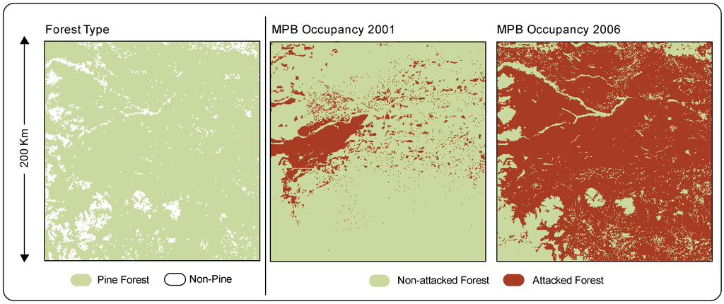 Forests 04 00279 g002 1024