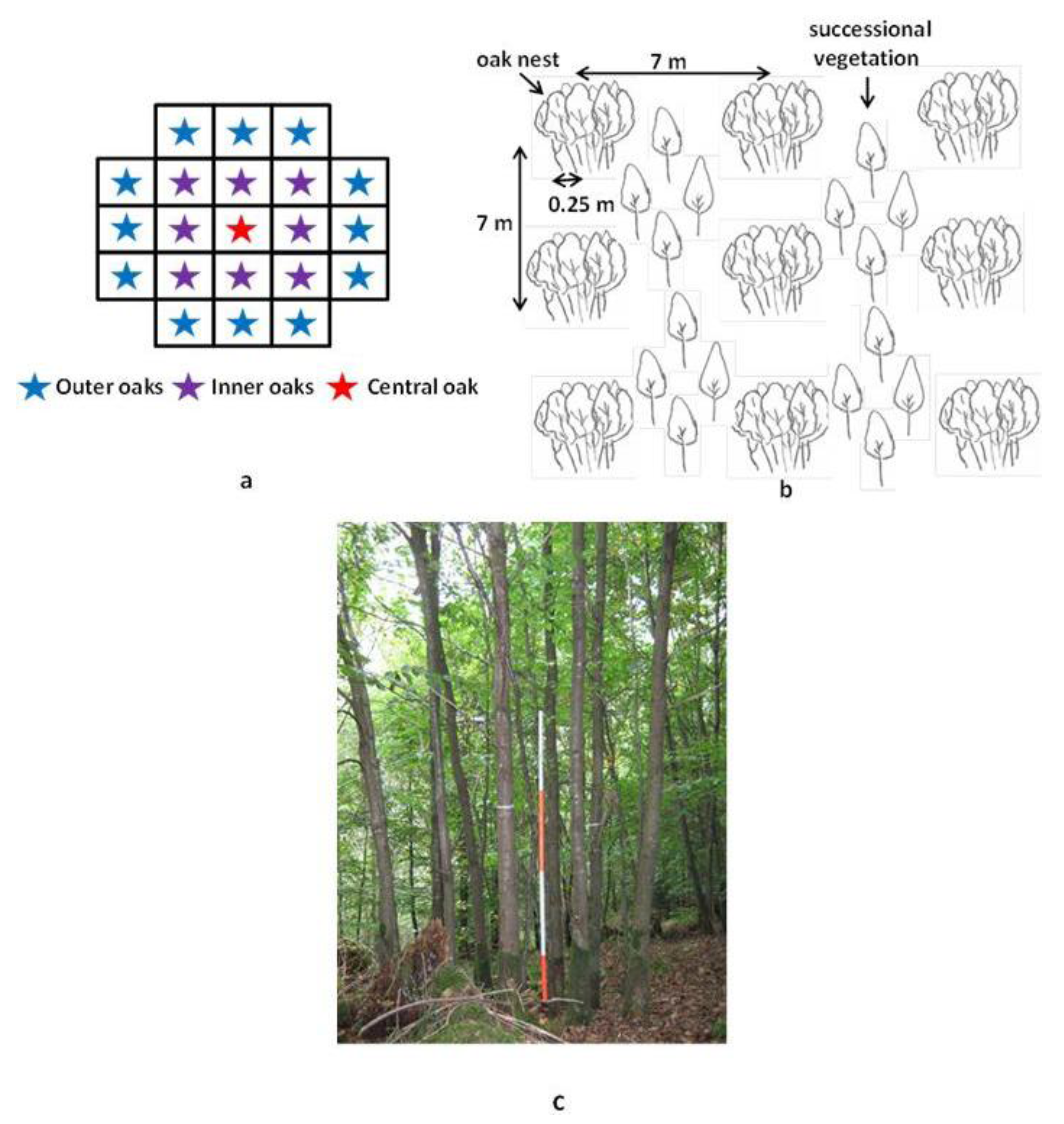 Forests 04 00650 g001
