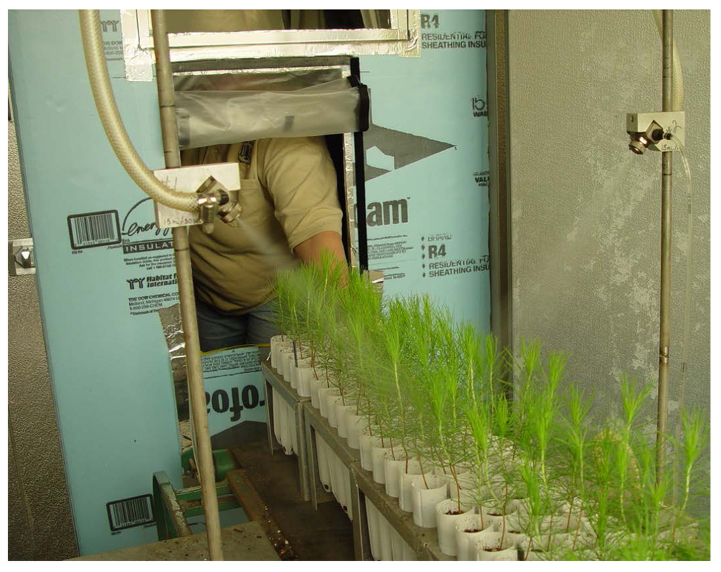 Forests 04 00666 g001 1024