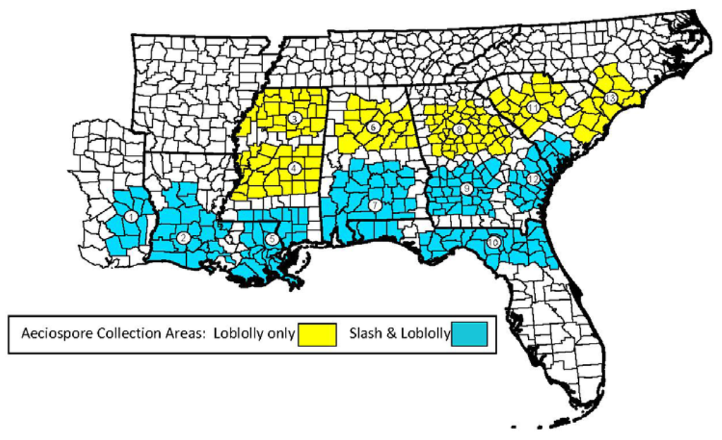 Forests 04 00666 g002 1024