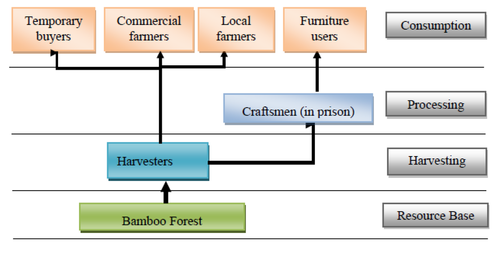 Forests 04 00710 g005 1024