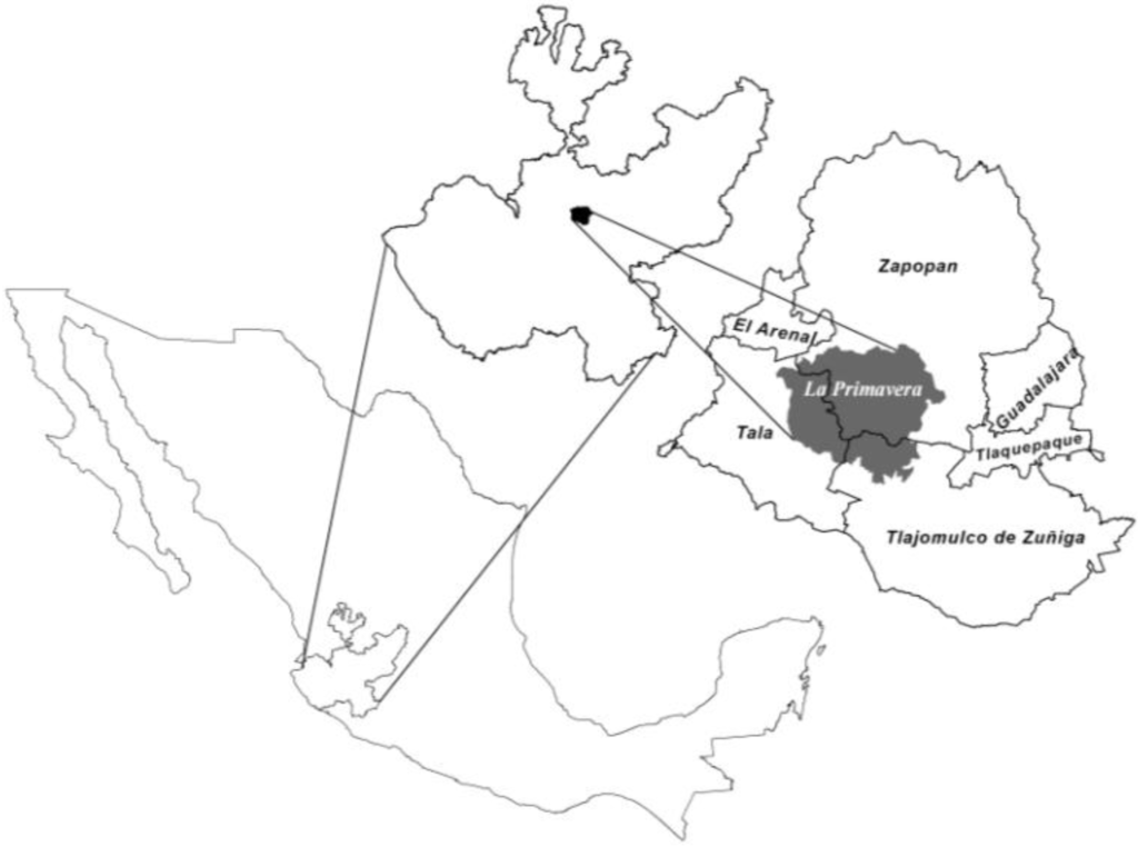 Forests 04 01032 g001 1024