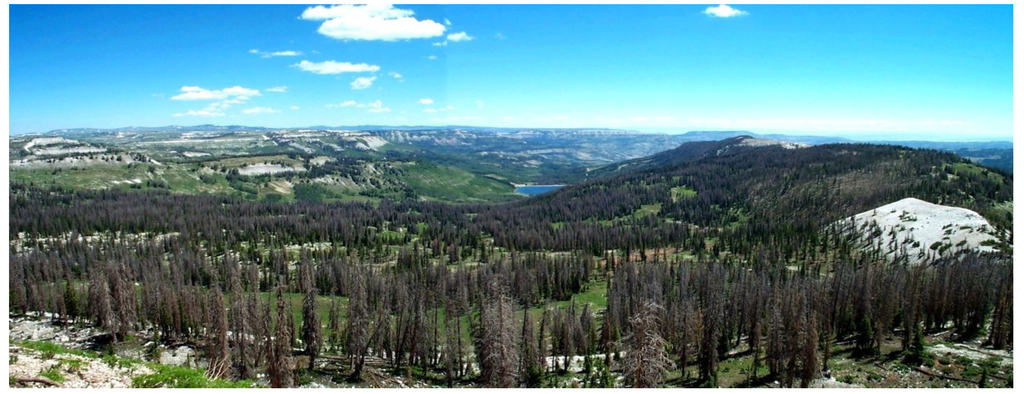 Forests 05 00021 g001 1024