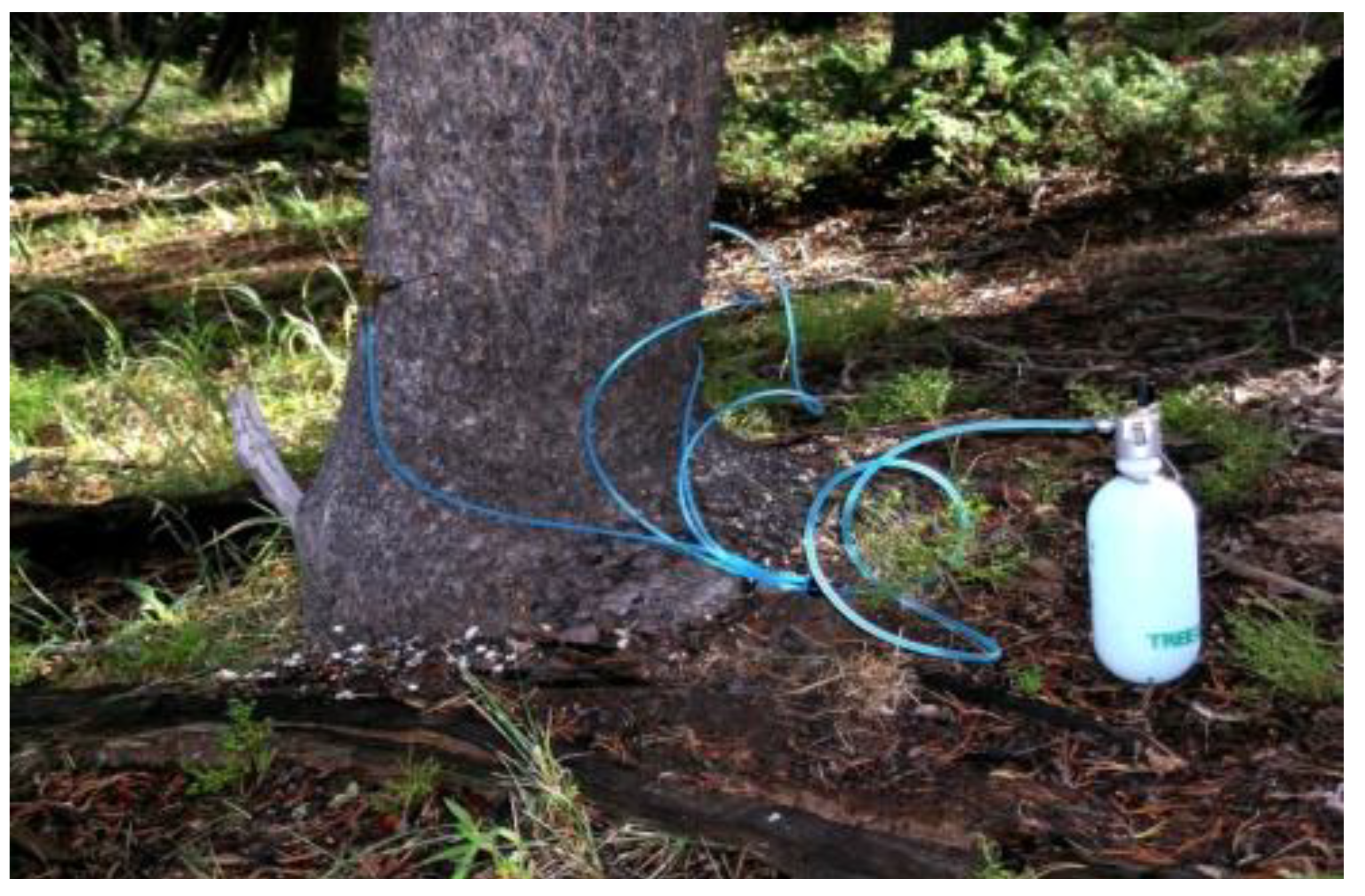 Forests 05 00021 g005