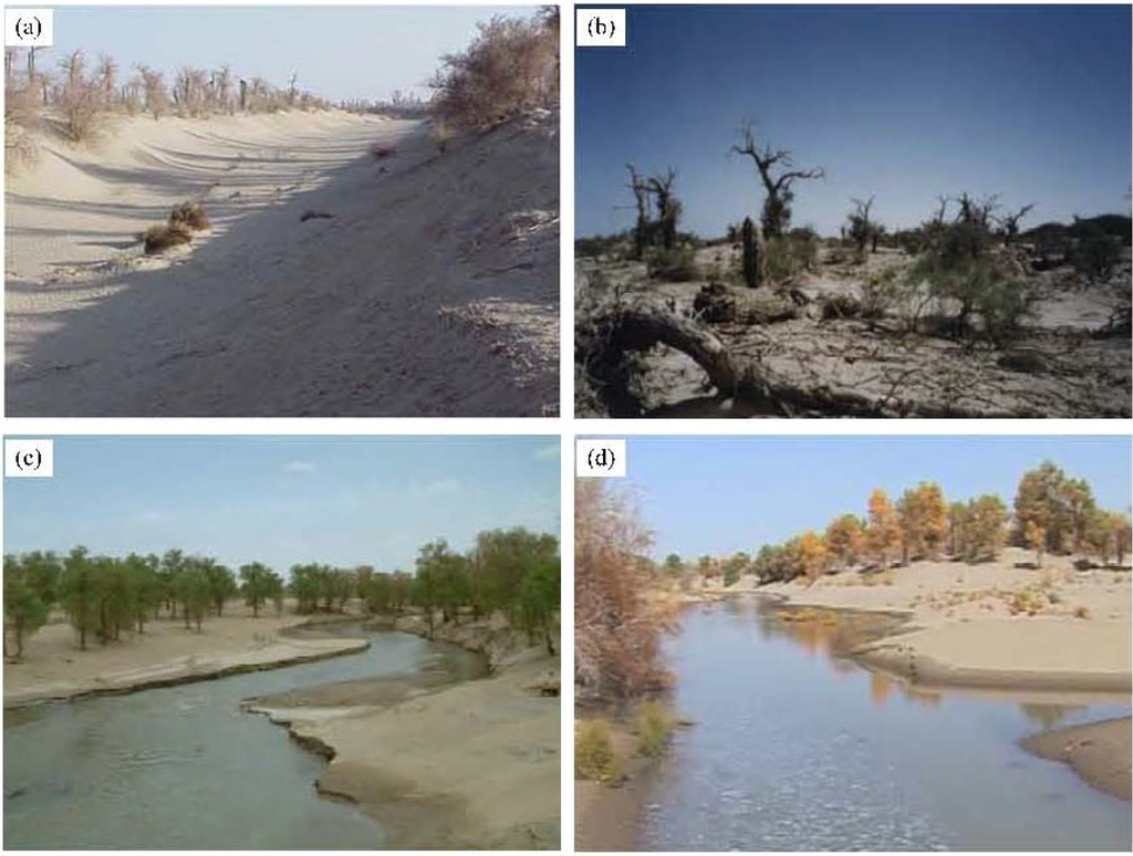 Forests 05 00134 g001 1024