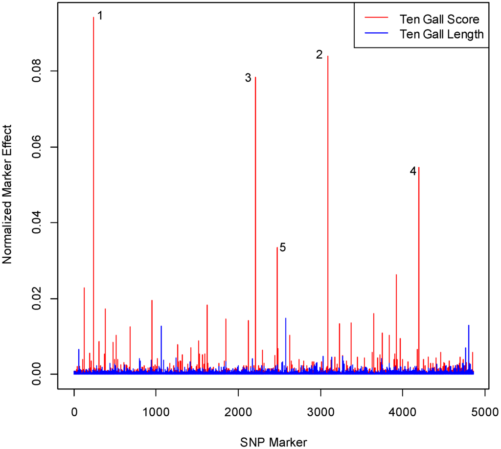 Forests 05 00347 g001 1024