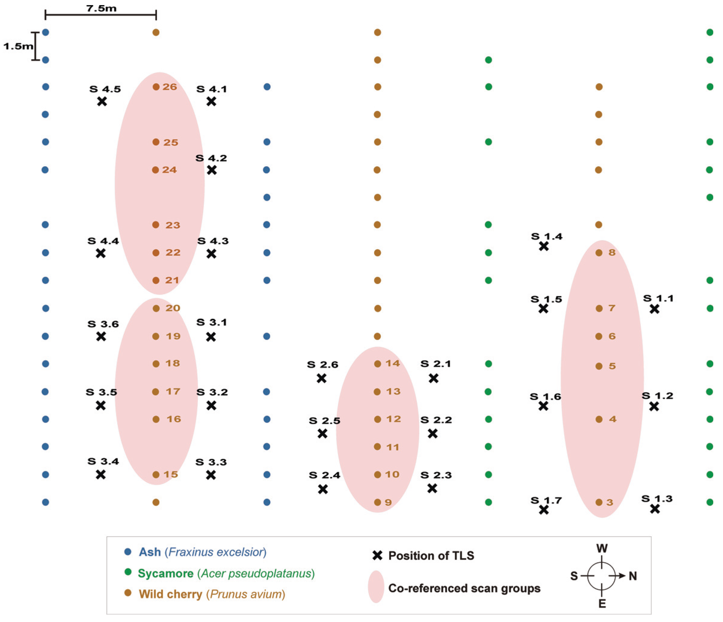 Forests 05 01069 g001
