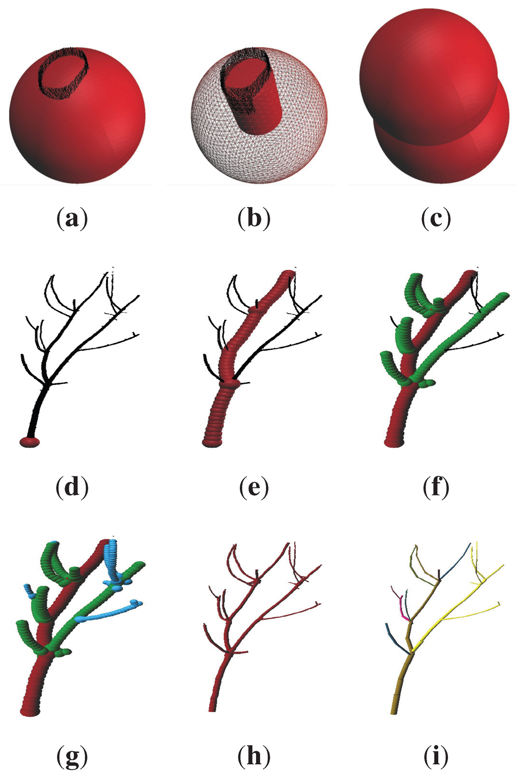 Forests 05 01069 g002 1024