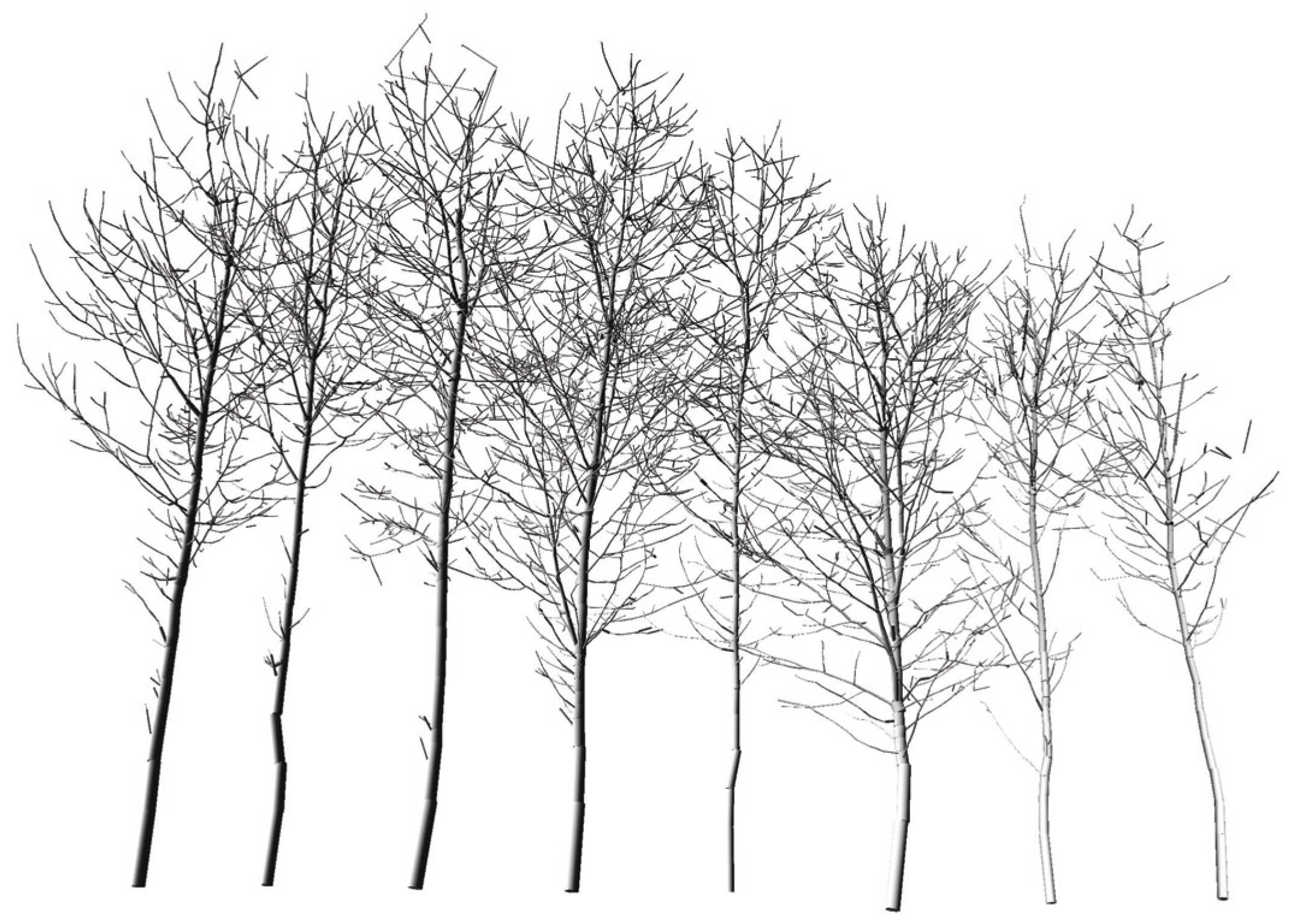 Forests 05 01069 g003