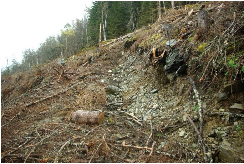 Forests 05 01212 g001 1024