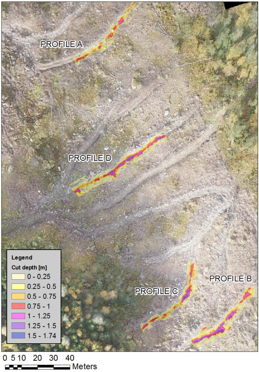 Forests 05 01212 g003 1024