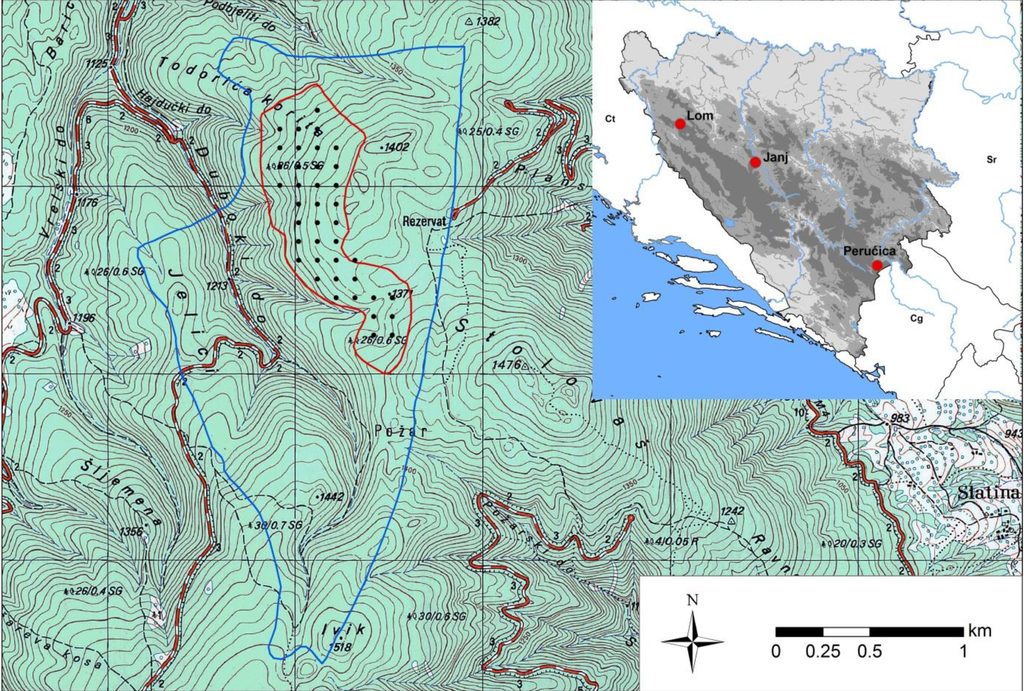 Forests 05 01243 g001 1024