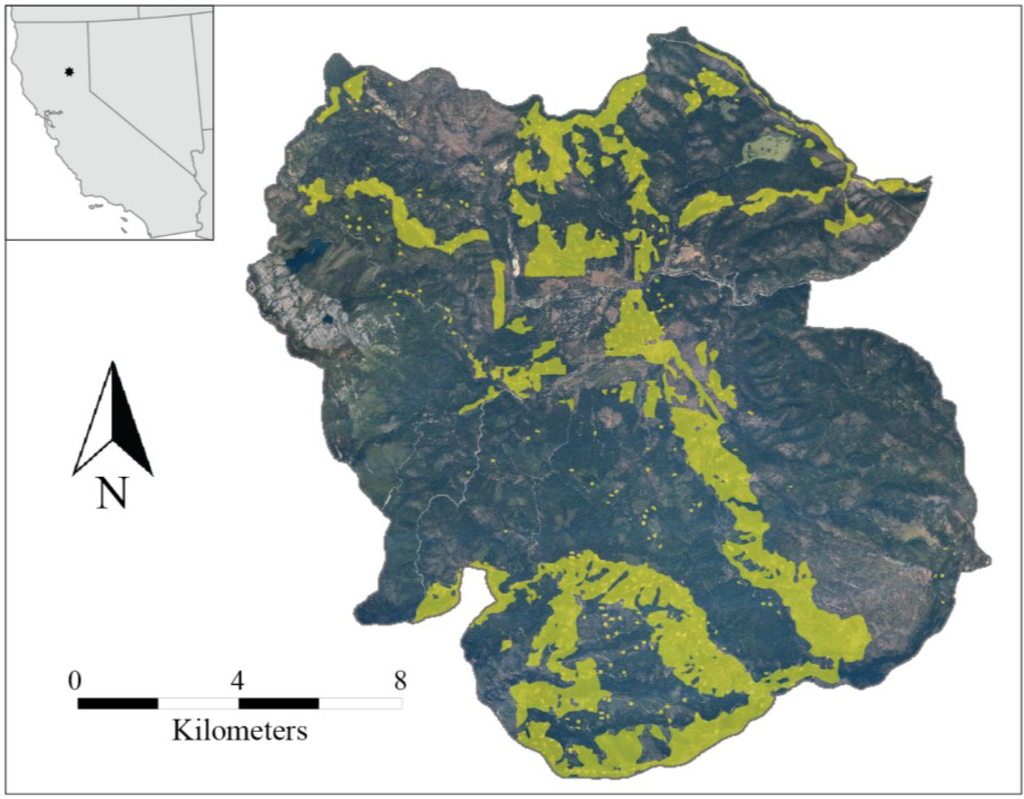 Forests 05 01432 g001 1024